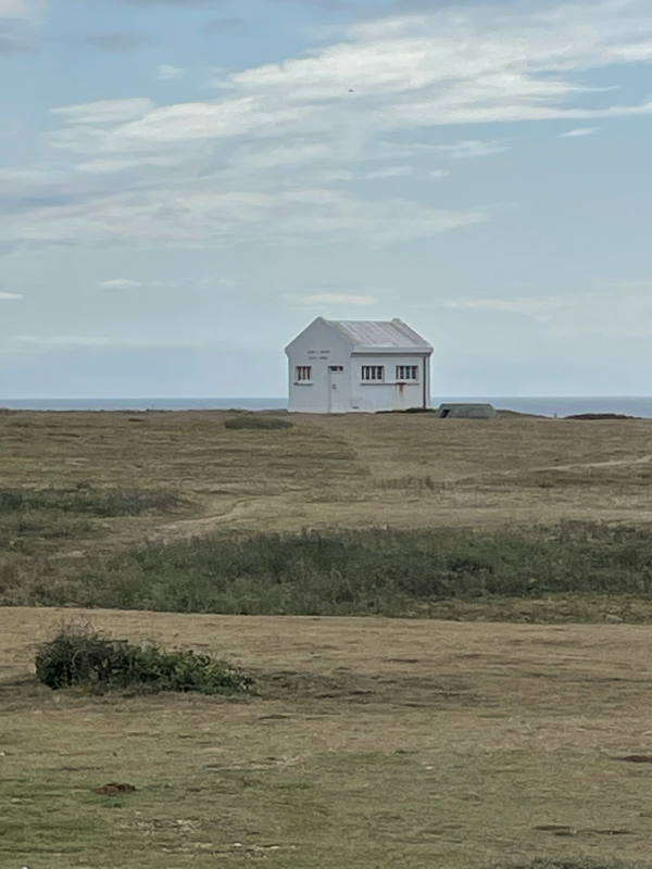 Image from Long développement d'un bref entretien