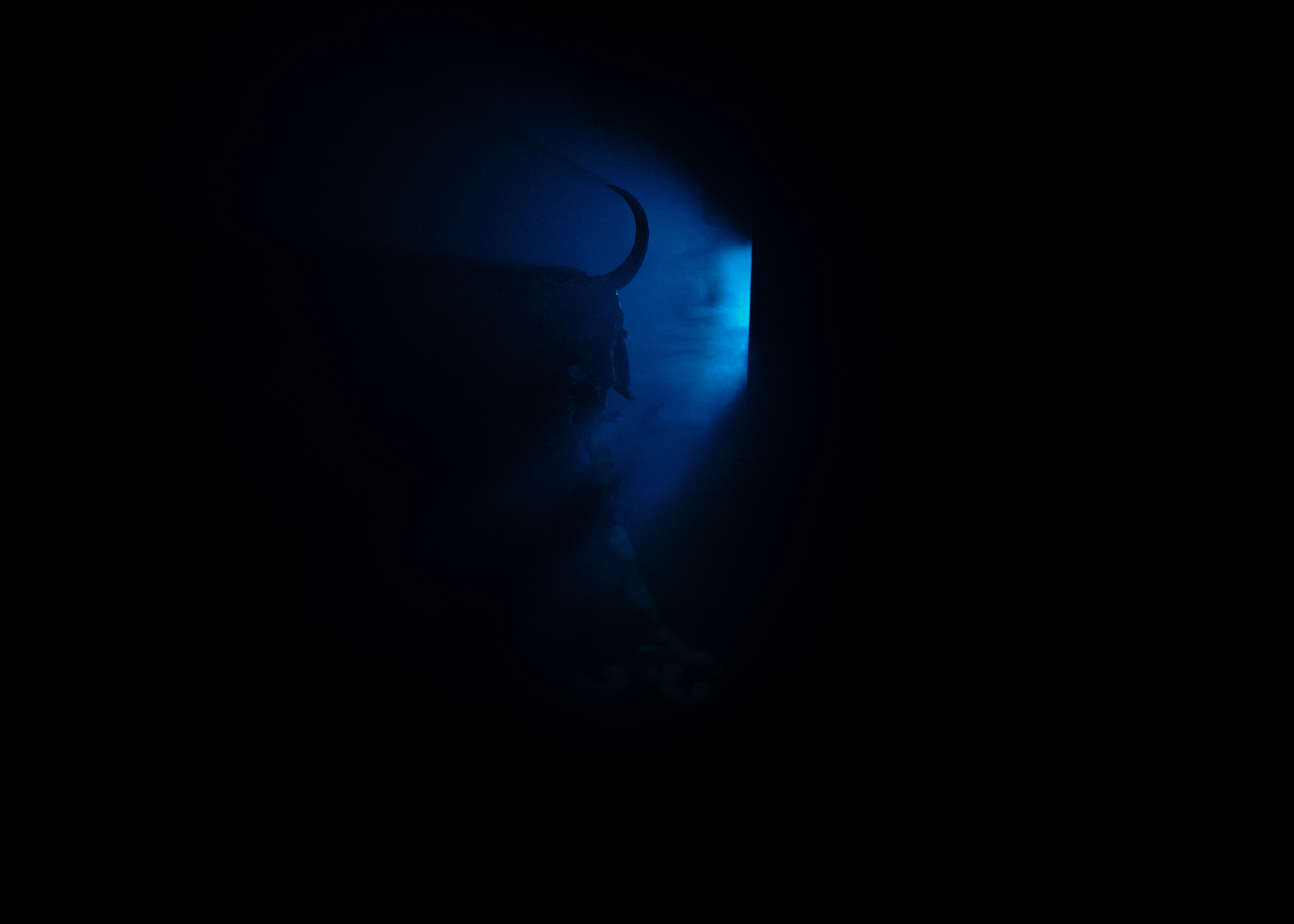 Image from Alpine Chaos